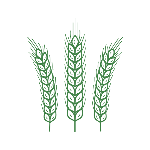 Cereale care conțin gluten