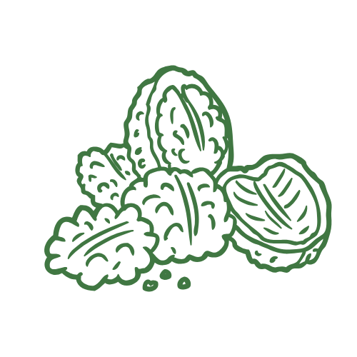 Fructe cu coajă lemnoasă